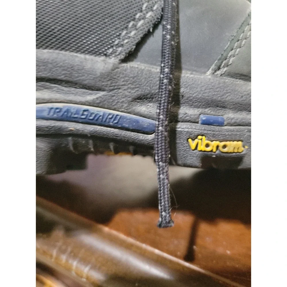 Danner vicious boots